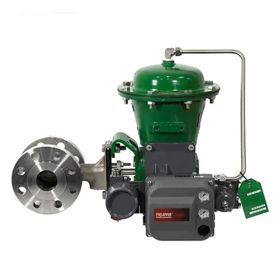 Fisher V500 Eccentric Plug Valve
